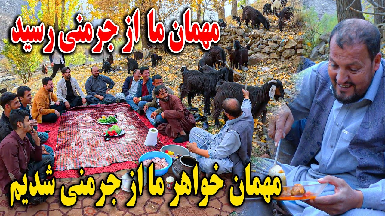 امروز مهمان خواهر ما از جرمنی شدیم - حمله بز ها بالای ماما سالم سر دستر خوان😁😇