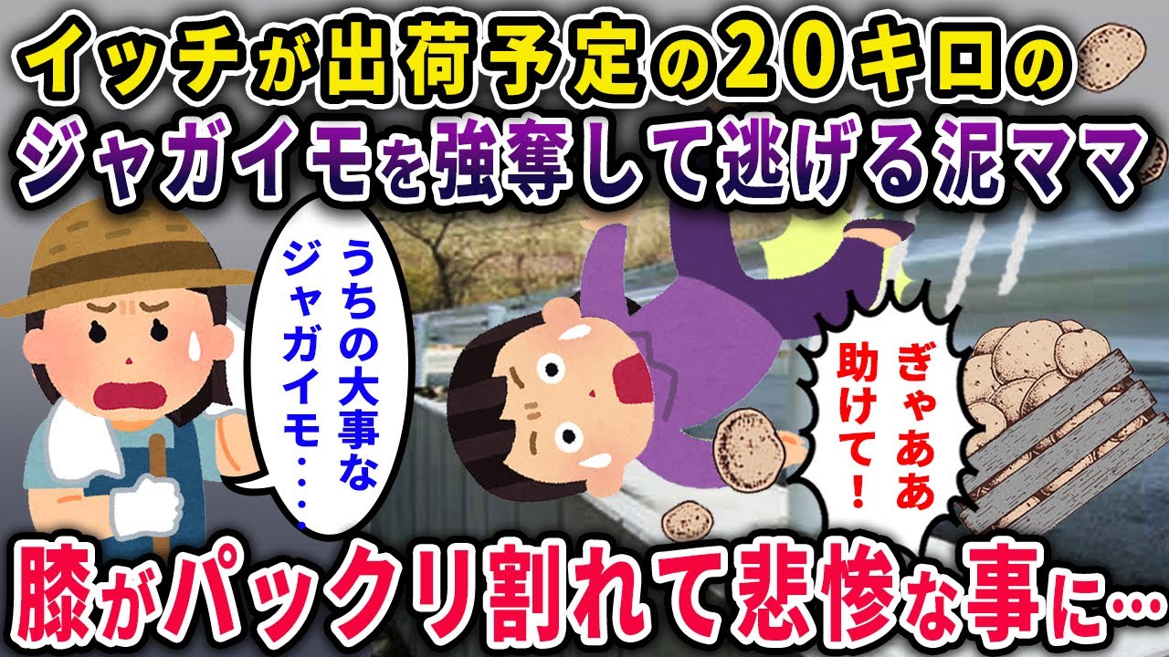 【泥ママ】イッチが出荷予定の20キロのジャガイモを強奪して逃げる泥ママ→膝がぱっくり割れて悲惨な事に…【2chスカっと・ゆっくり解説】