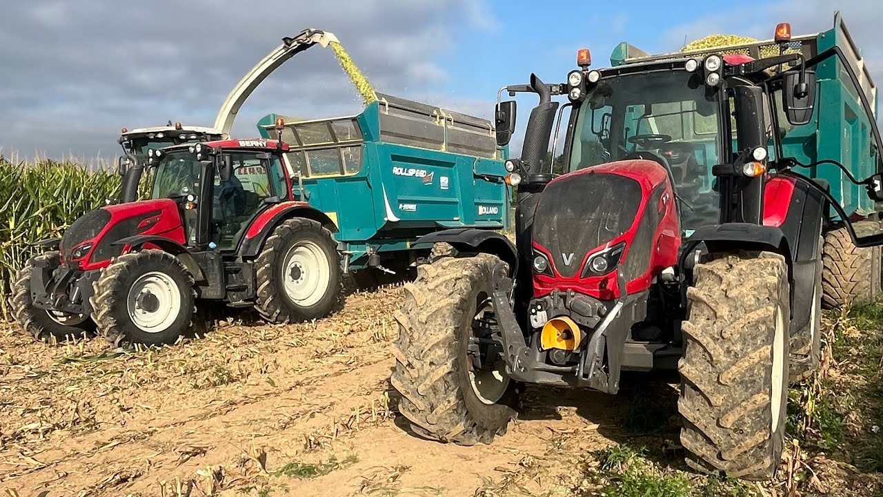 Ensilage de maïs 2025 en Sarthe CLAAS JAGUAR 950 