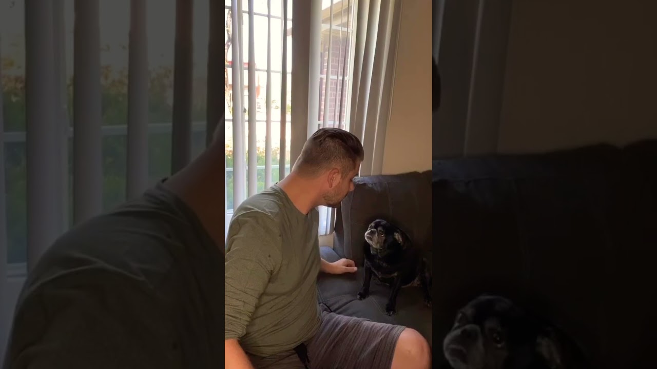 7up #lifeadvice #humor #dogsofyoutube #waitforit #jokes #cocacola #drinking #funnyshorts #7up #lmfao