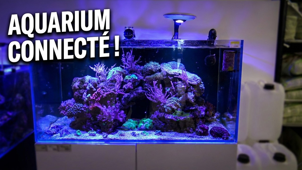 Aqua Horizon: l'aquarium connecté
