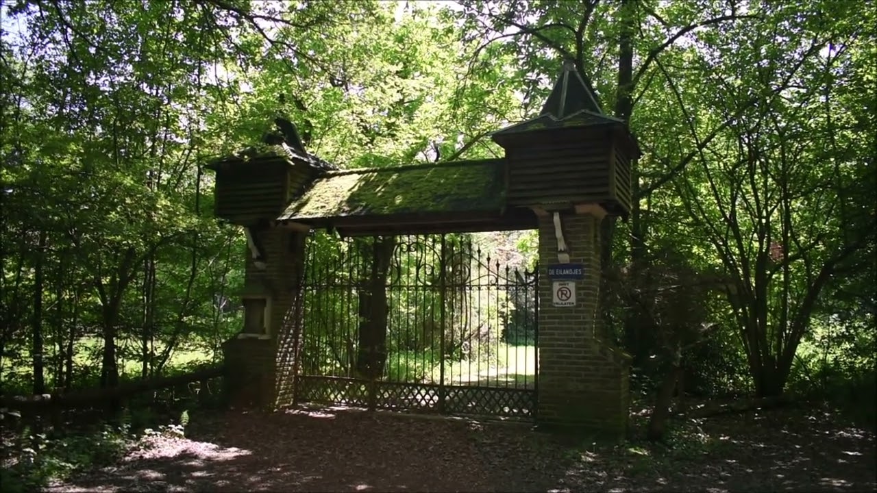 #466 : Welkom in Hamont-Achel