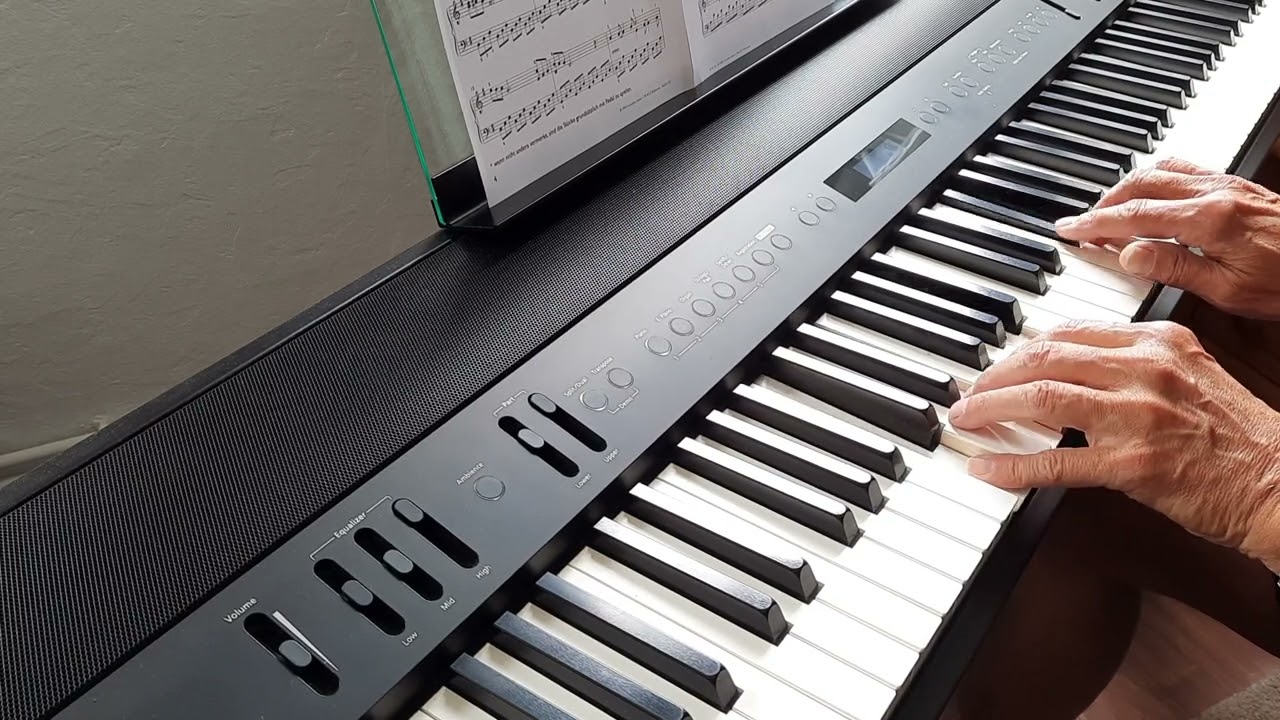 Memories  Daniel Hellbach auf Roland FP-90X