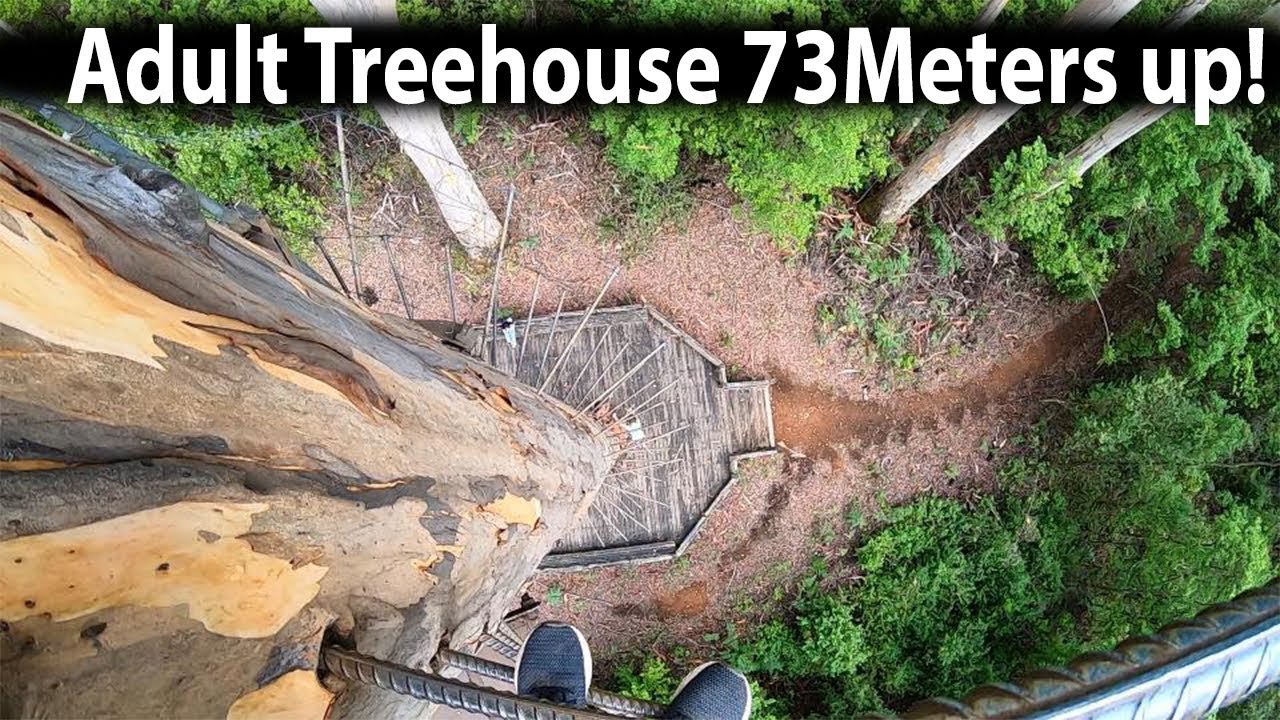Would you Climb this? (NOT SAFE) Augusta to Northcliffe Ep.73