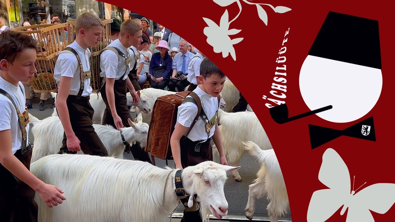 Zürcher Sechseläuten 2024: Der Kinderumzug mit dem Gastkanton, Appenzell Ausserrhoden