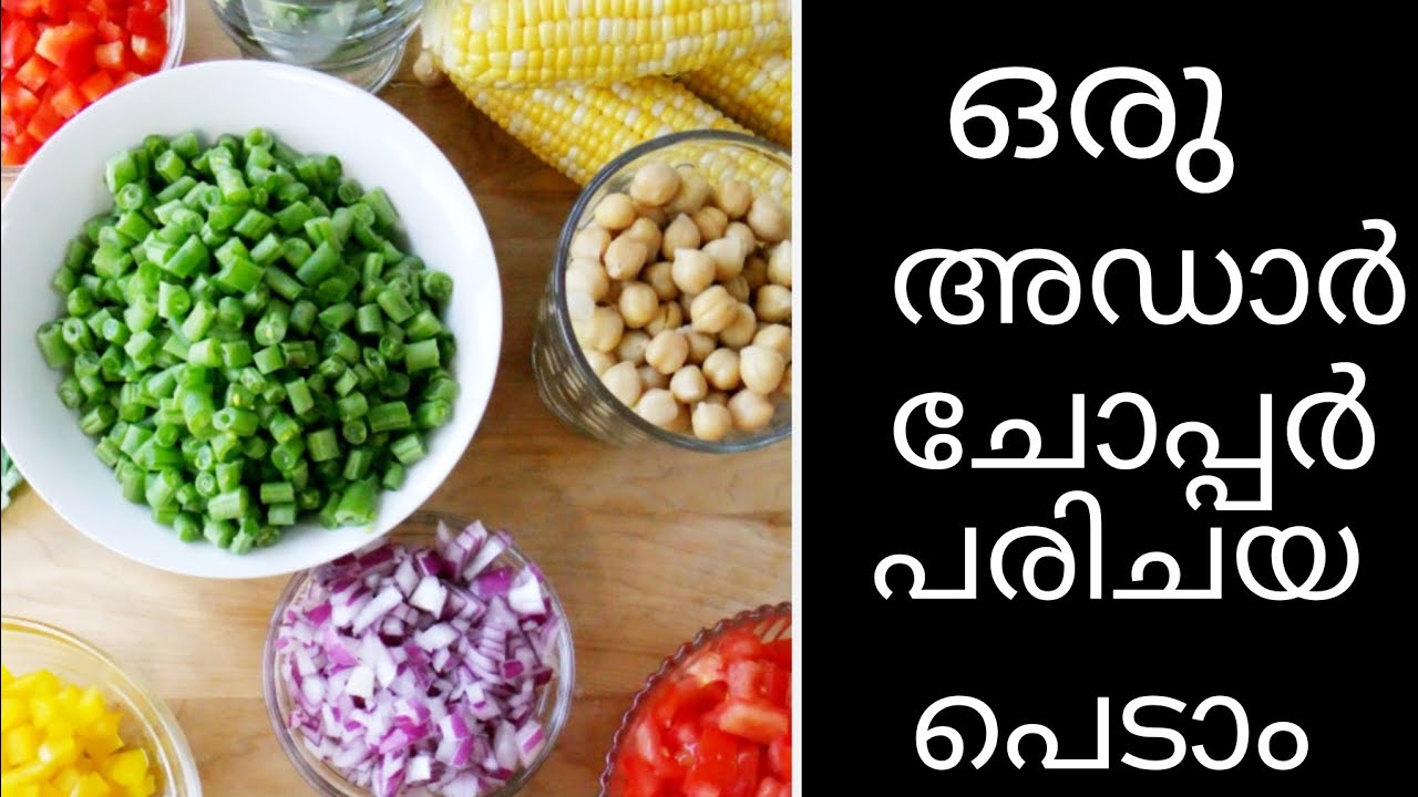 വീട്ടമ്മമാർക്ക്  വളരെ ഉപകാര പ്രദമായ ഒരു അടിപൊളി Chopper പരിചയപ്പെട്ടാലോ/An Amazing Chopper Unboxing