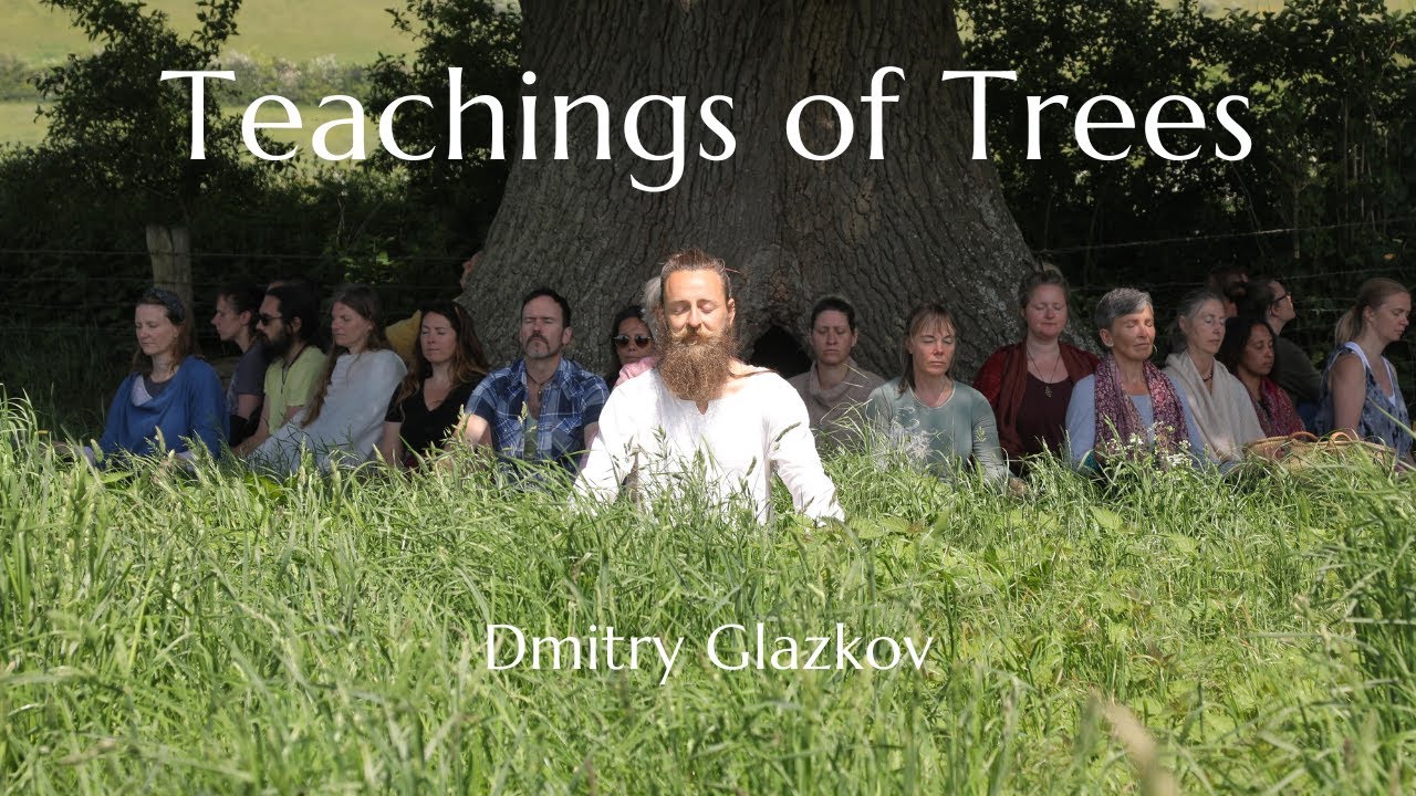 Teachings of Trees