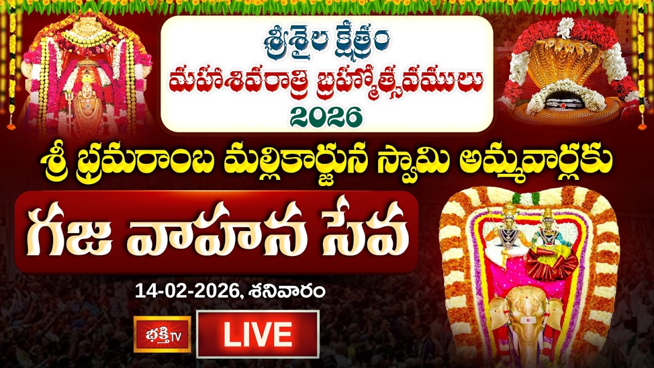 LIVE: శ్రీ భ్రమరాంబ మల్లికార్జున స్వామి అమ్మవార్లకు గజ వాహన సేవ | Srisailam Temple | Bhakthi TV