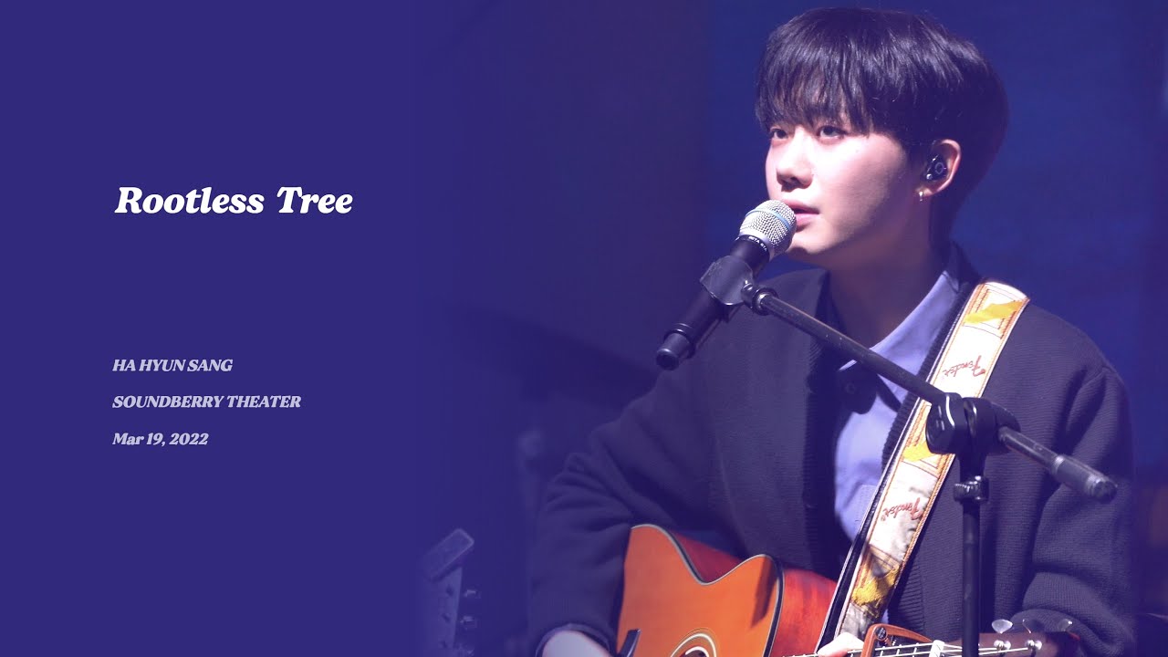 [4K] 220319 Soundberry Theater 하현상(Hahyunsang) - Rootless Tree (Damien Rice cover)