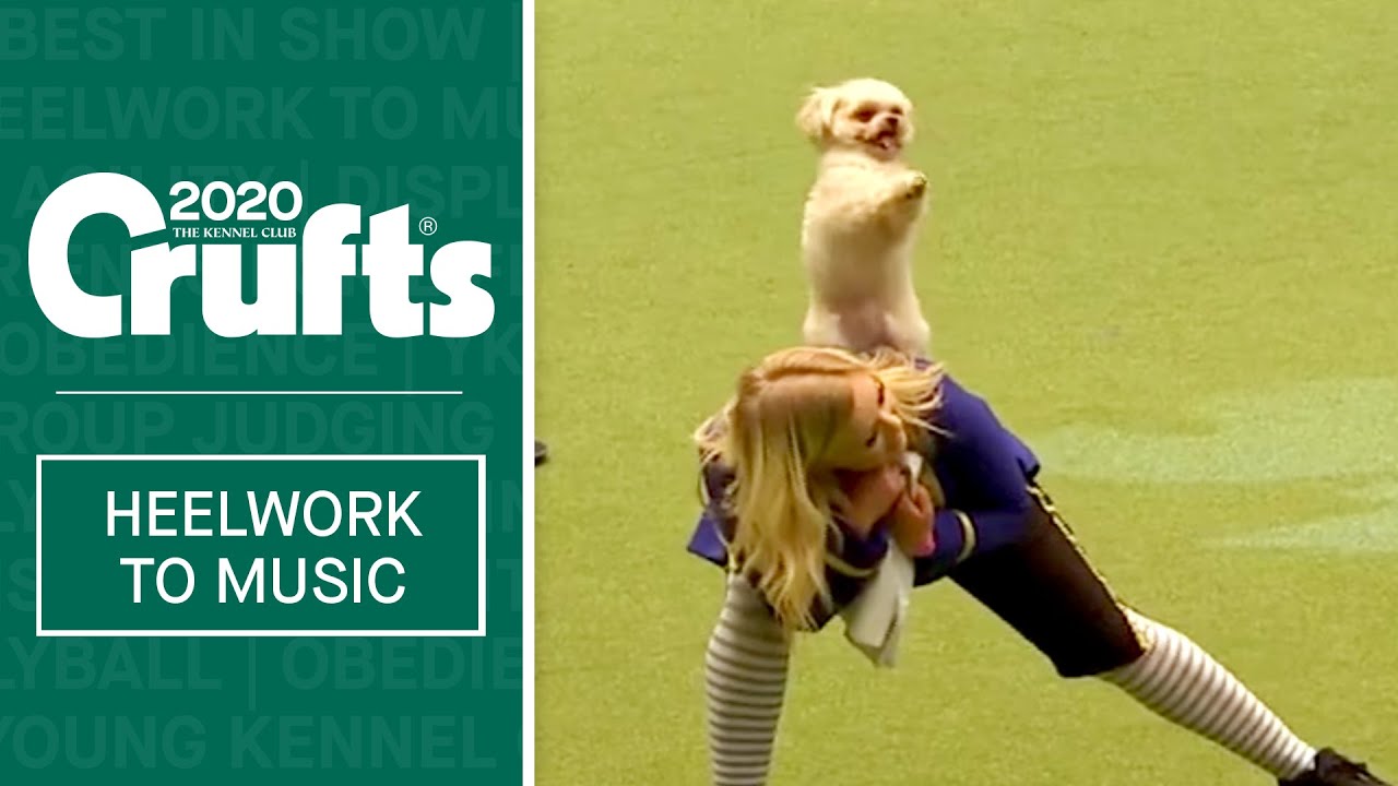 Magical Beauty and the Beast routine at Crufts 2020