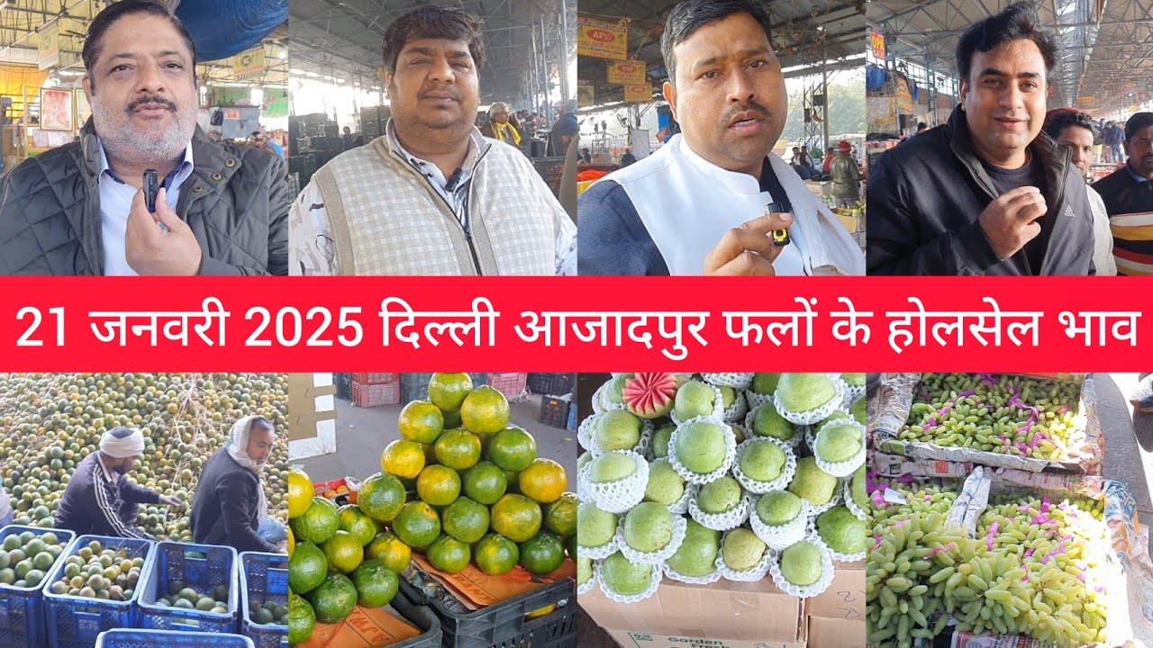 January 21, 2025 दिल्ली फलों के भाव delhi fruit market price APMC delhi fruit market #fruitmarket