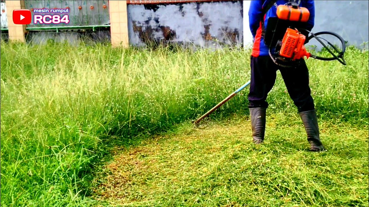 Potong rumput Lapangan Seminggu sebelum Pemilu  #rc84