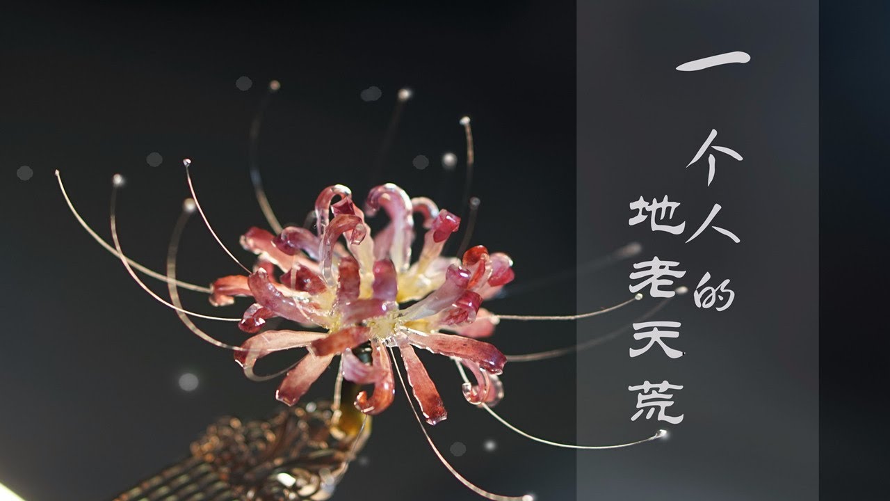 传说在地狱中唯一盛开的花，彼岸花灯，一个人的地老天荒Lantern lanterns on the other side