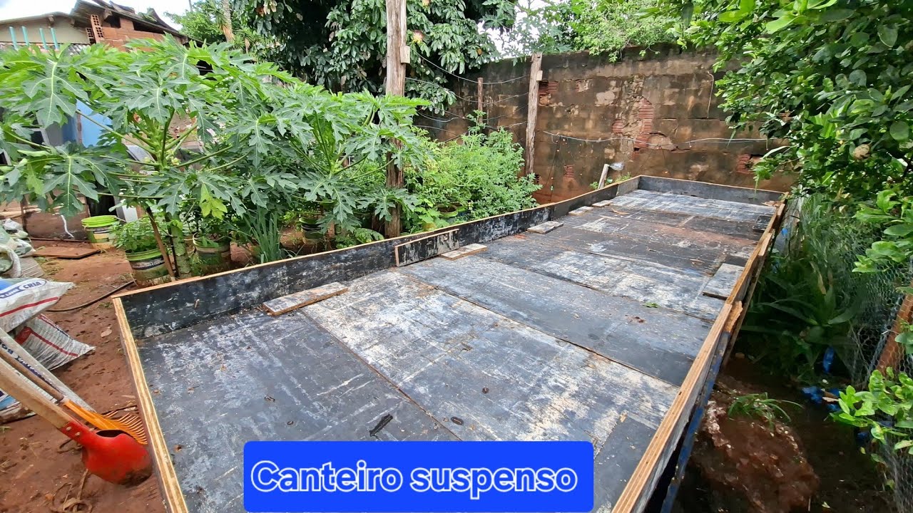 O canteiro ficou muito bom, tragédia no galinheiro 