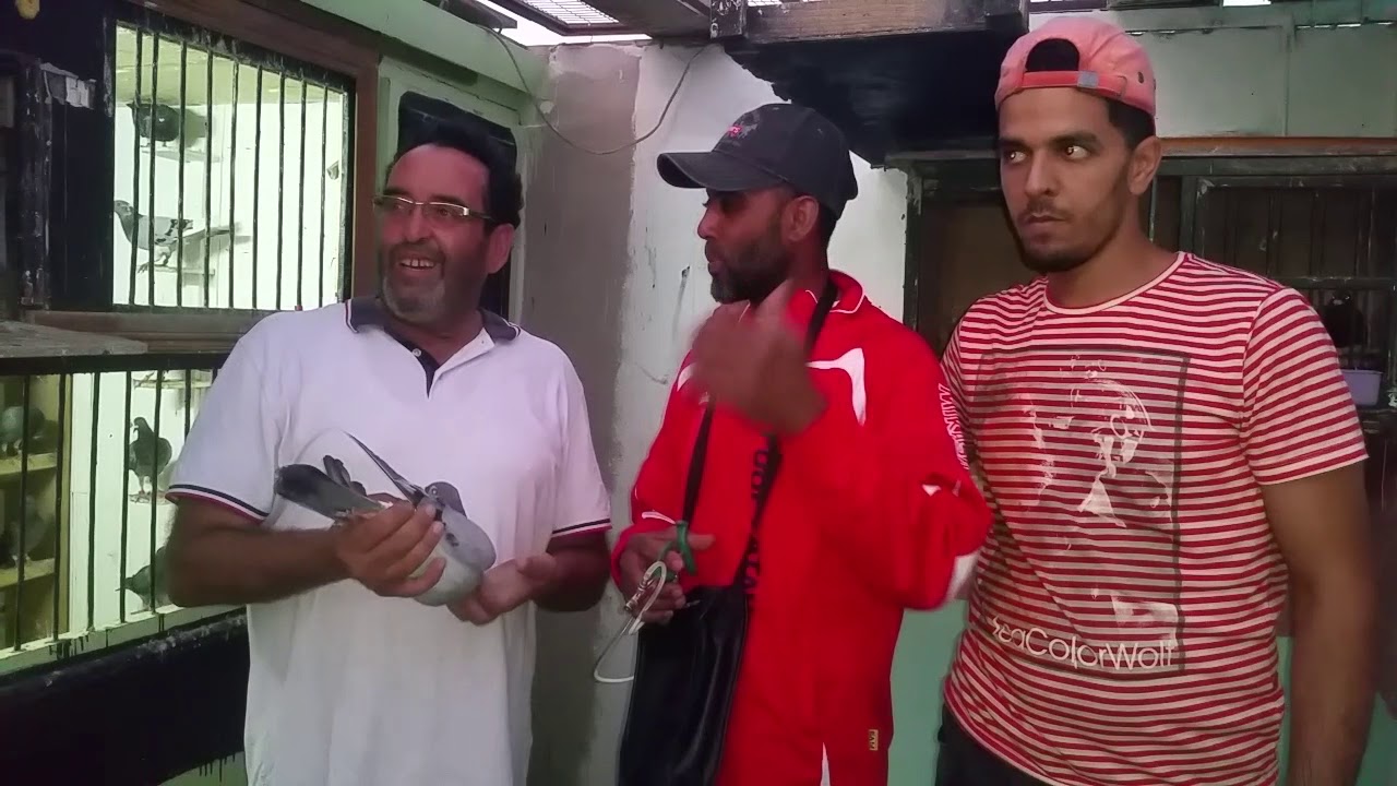 عملية التلقيح ضد بوعناز عند البطل الكبير يوسف بوعنان