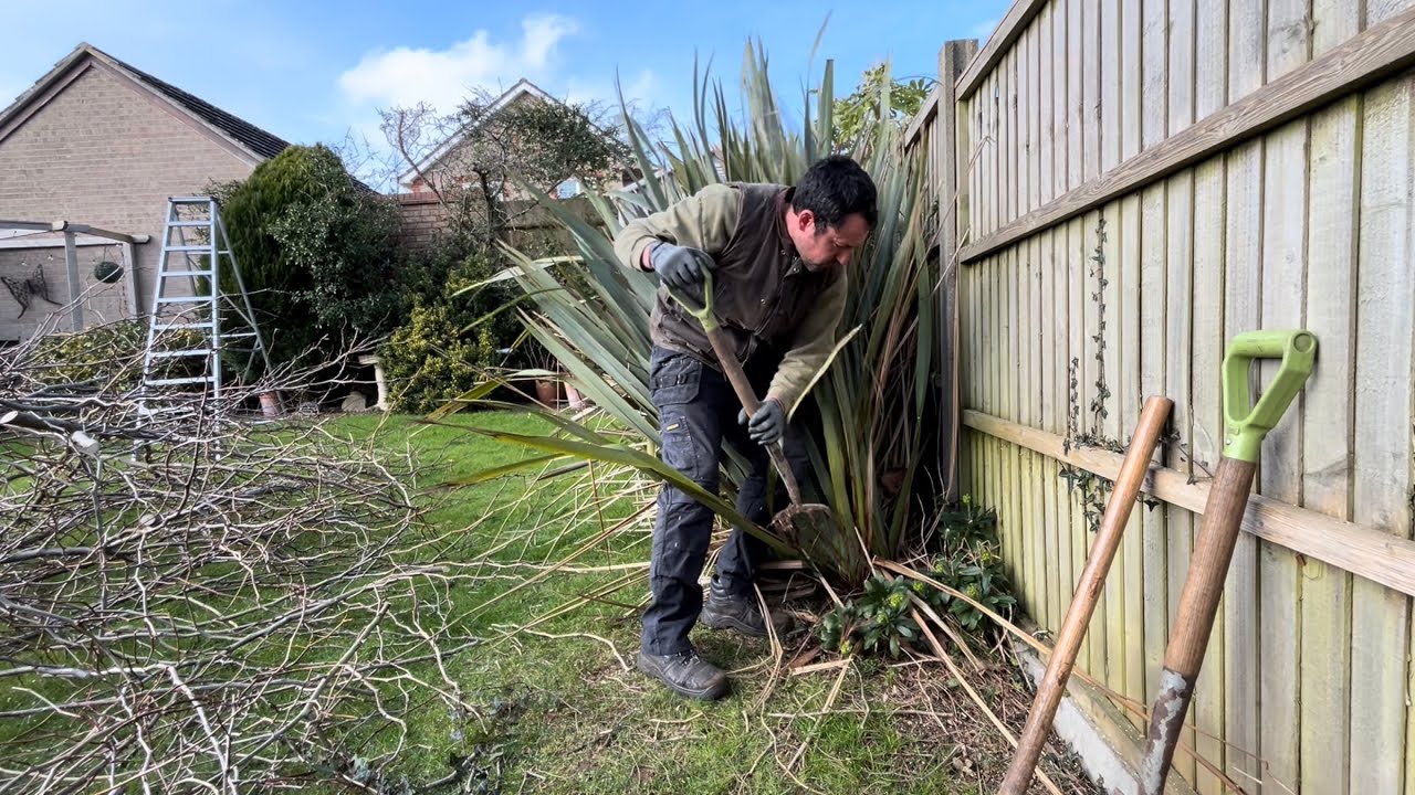 Homeowners needed some Heavy Cutting back & Shrubs Removing! ( How to Remove phormium’s)