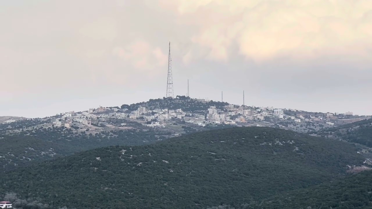 الاردن محمية عجلون و معلومات زيت الزيتون