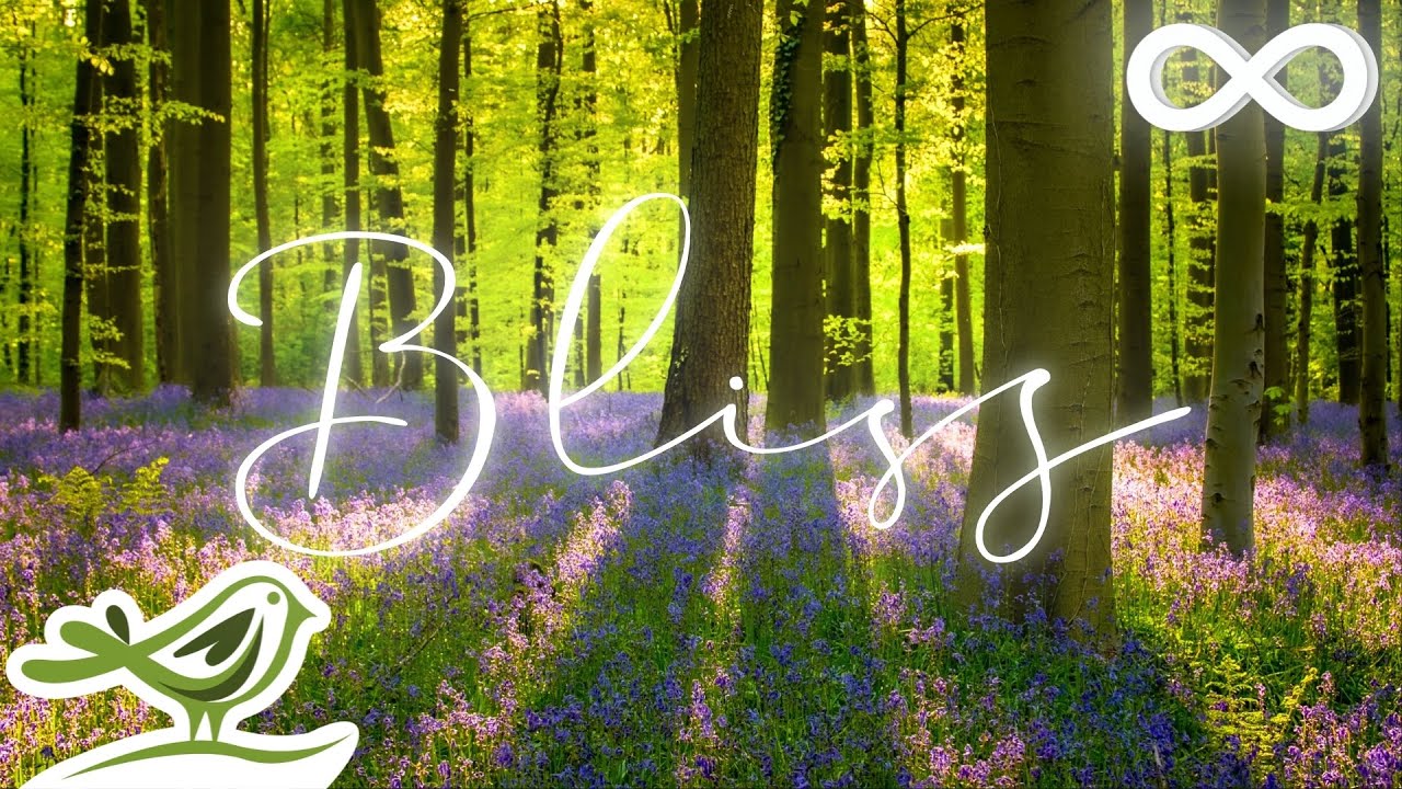 Bliss: Beautiful Relaxing Music with Flute, Piano, Guitar & Bird Sounds