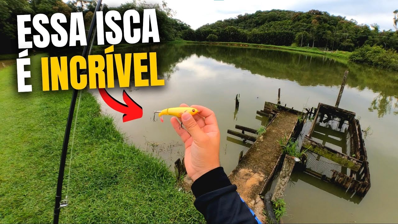 ESSE LOCAL TEM MUITO PEIXE! Pesca de Traíra com iscas de Superfície