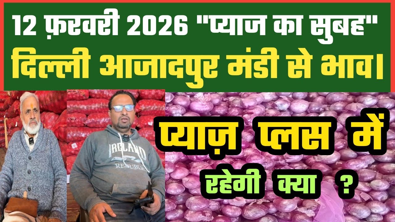 प्याज का बाजार क्या प्लस रहेगा ? Azadpur Delhi Mandi Today में 12-02-2026 के Onion Price DMT TV