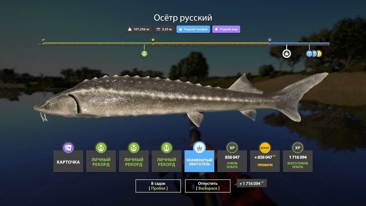1700 СЕРЫ ЗА 90 МИНУТ НА ОСЕТРЕ РАЗДАЧА НА ЯМЕ СВОДКА ПО ВОДОЕМАМ В РУССКОЙ РЫБАЛКЕ 4 РР4