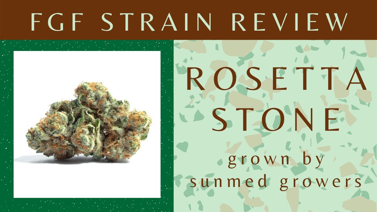 FGF Strain Review: Rosetta Stone by SunMed Growers
