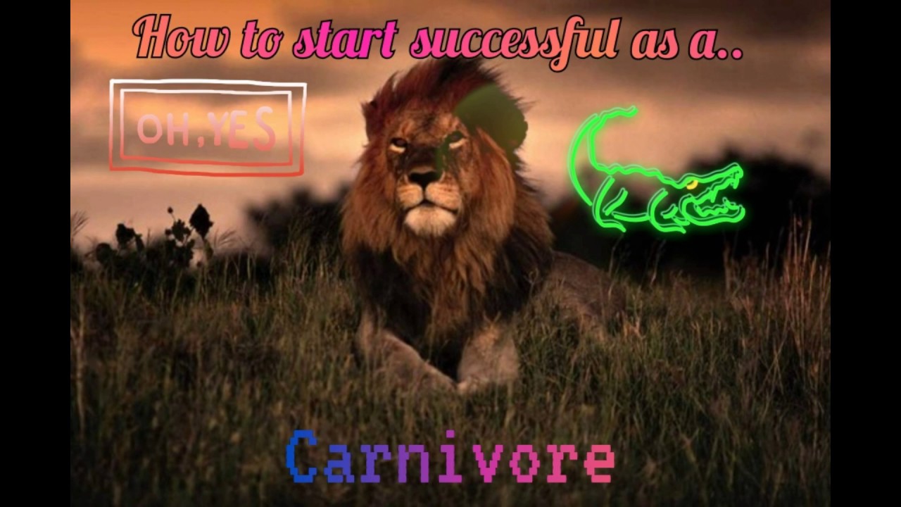 How to start as a successful carnivore in WAO! | Wild Animals Online