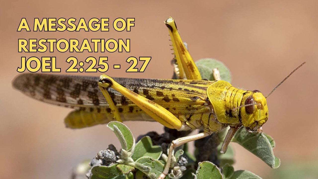 The Surprising Truth About God's Restoration Nobody Tells You