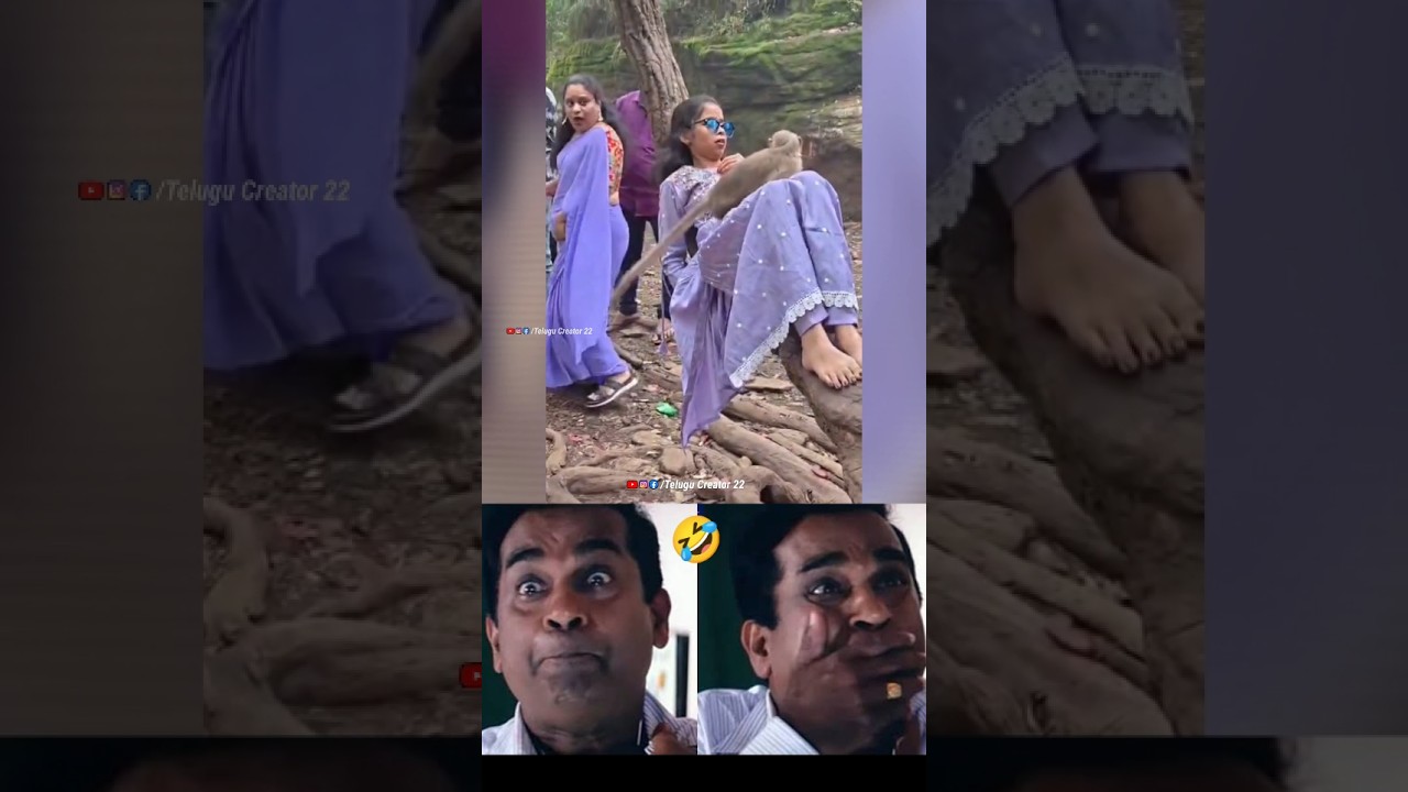 😂😂 #telugutrolls #telugumemes #comedyshorts #comedyvideos #shortvideo#trendingshorts#monkeyfun