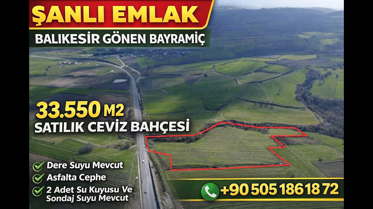 Asfalta Cephe Satılık Ceviz Bahçesi 33.550 m2 Fiyat 11.000.000 TL