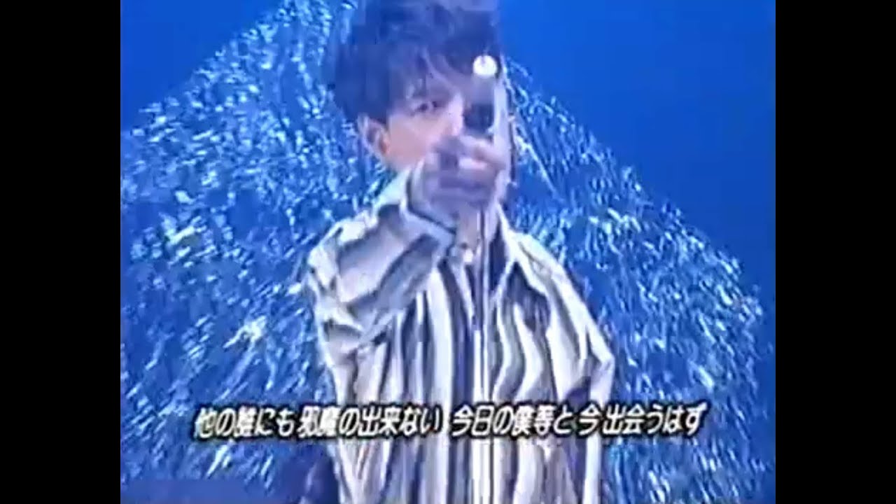 L⇔R  NICE TO MEET YOU