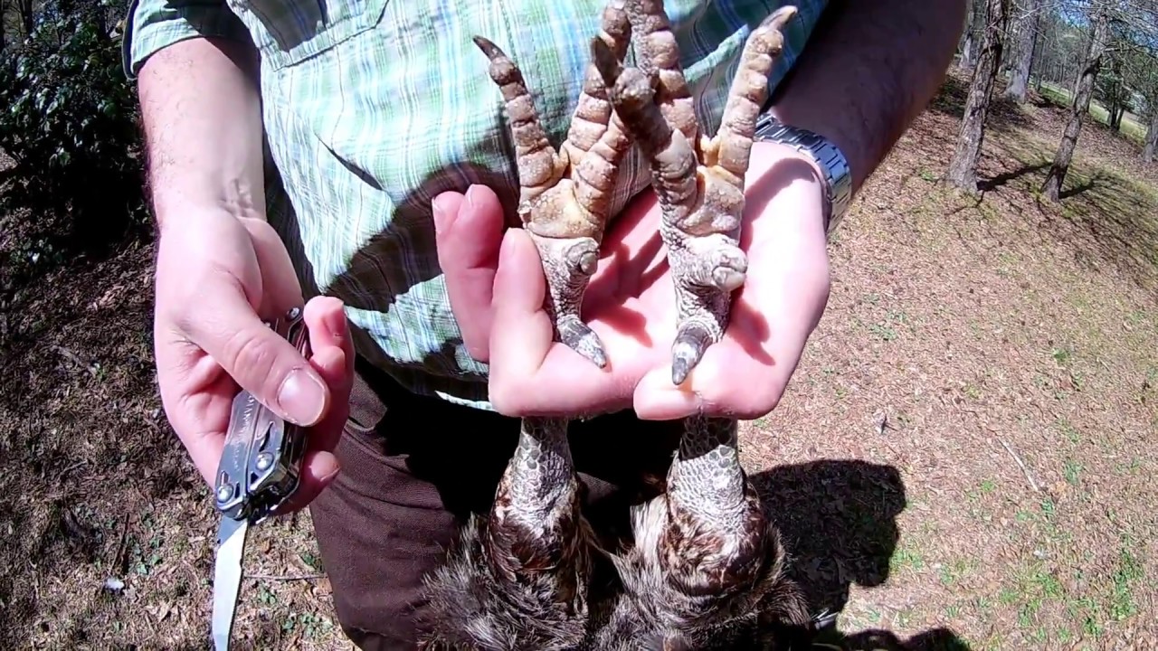 Rooster Spur Maintenance