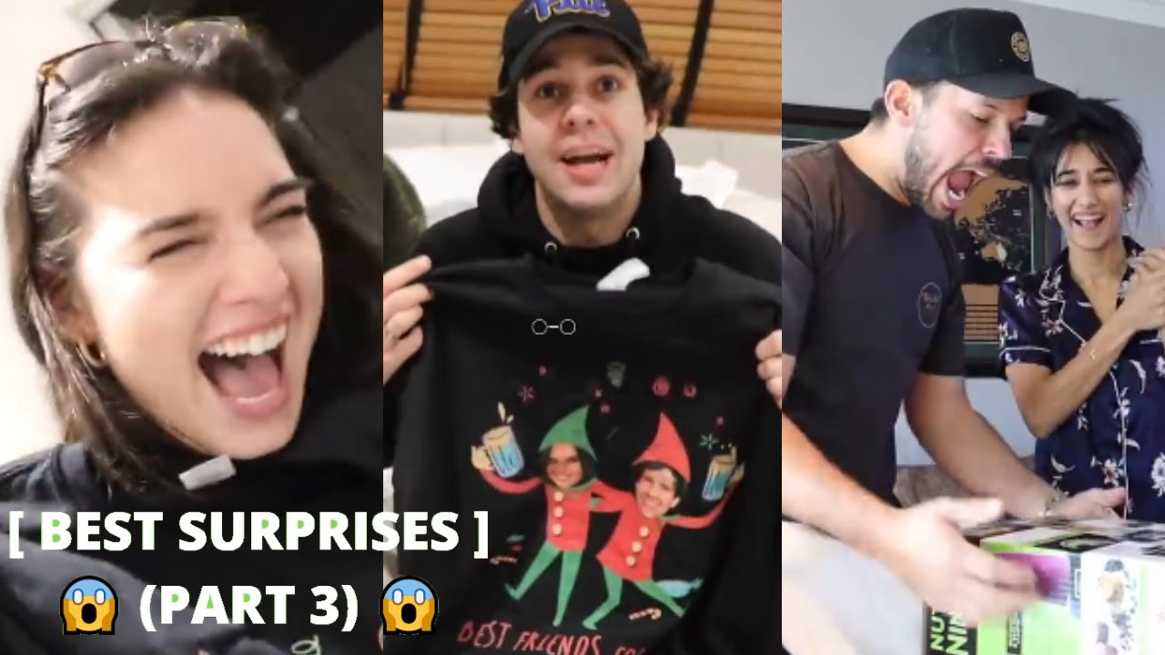 VLOG SQUAD BEST SURPRISES [PART 3] (w/ David, Natalie, Jeff, & more) | bruhh