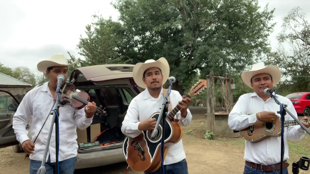 El huerfanito a don genaro Martinez, el viejo camalote 🎻🙏🫡 con versos de genarin