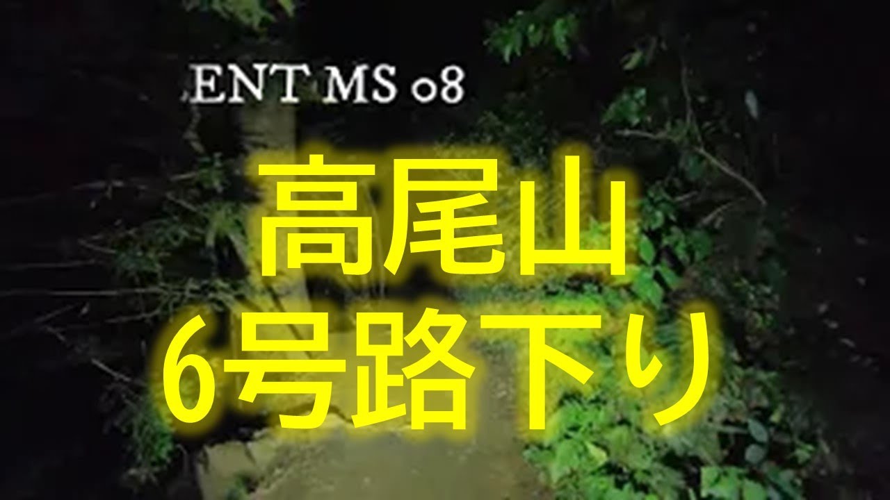 高尾山6号路下り IMALENT MS08 ＆ Olight(オーライト)Seeker 3 Pro