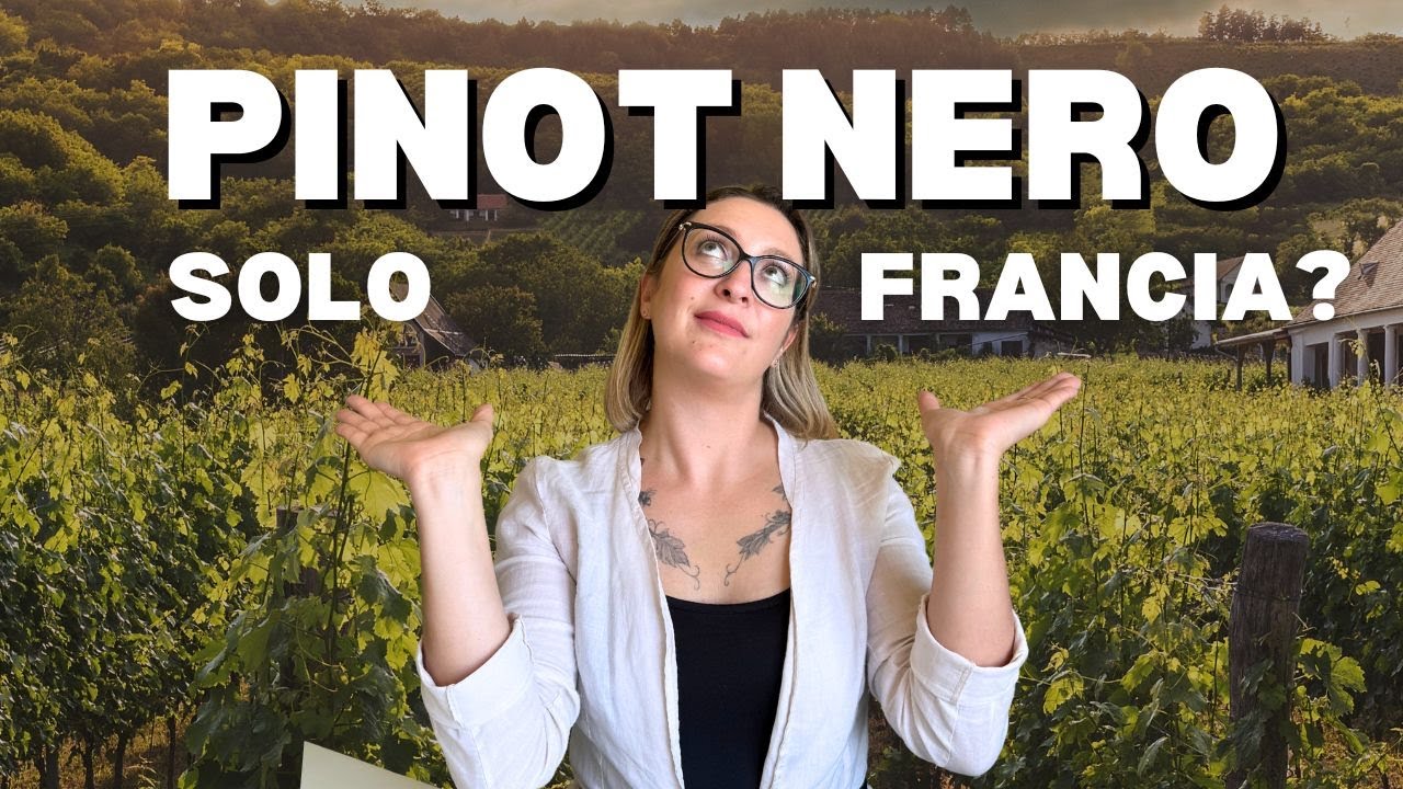 L'unico Pinot Nero che vale la pena bere è quello francese? Ti svelo la verità