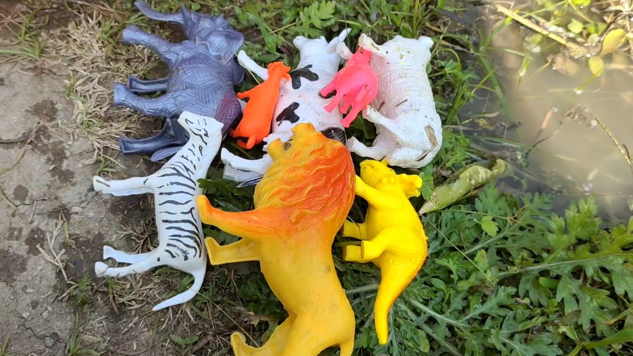 Rang Birange Colour Full Jungle Book me Kahaniyan Sune Animals Toys ke Sath mein 