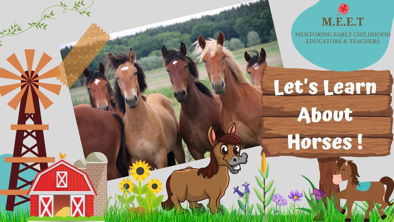 Let's Learn About Horses! Online Preschool Learning videos for kids