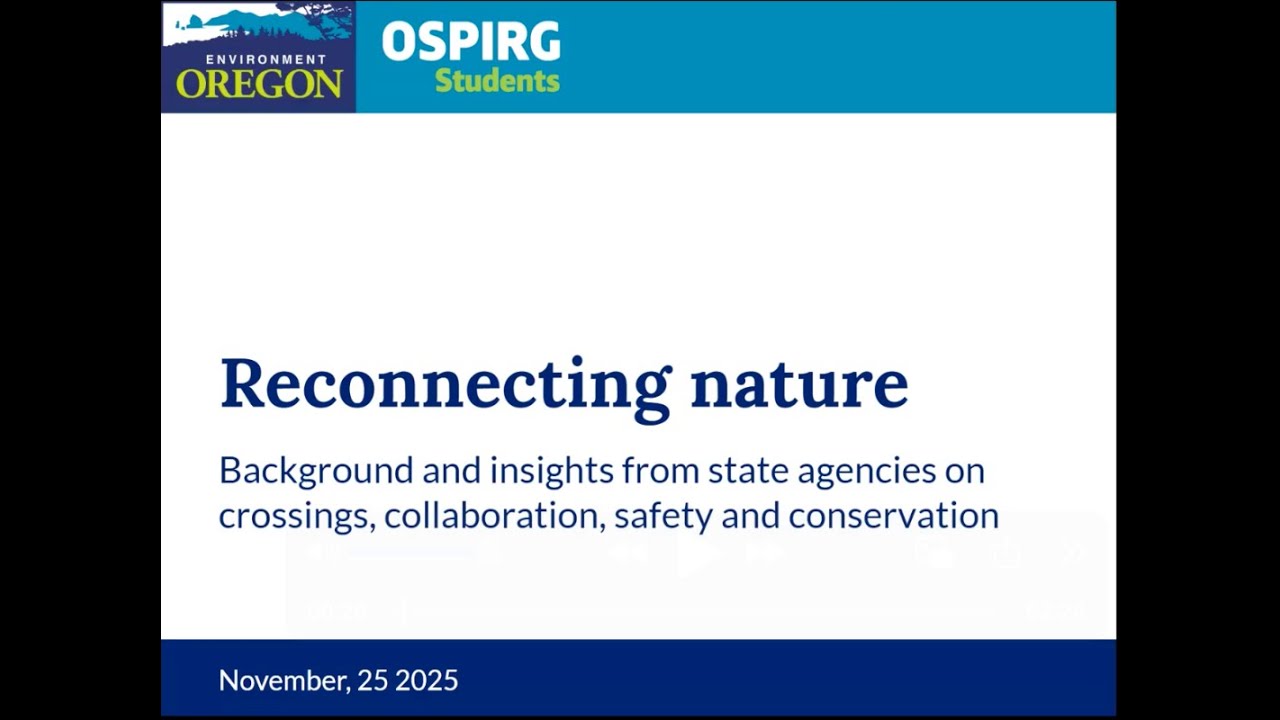 Reconnecting Nature: Background and insights on crossings, collaboration, safety and conservation