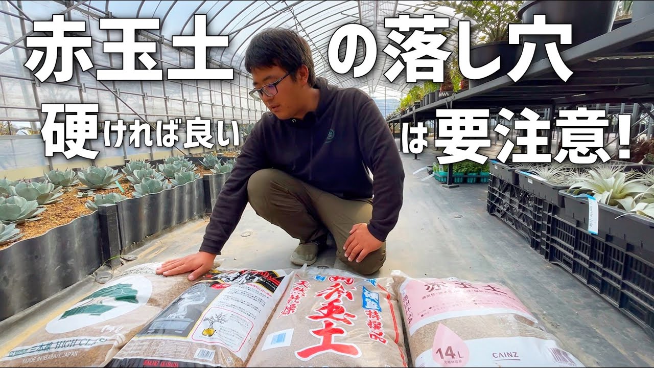 【アガベ】目的用途に合わせた