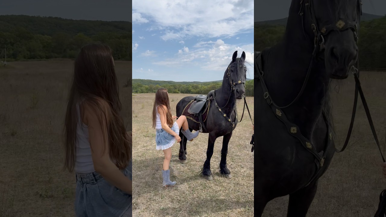 The most expensive horse breed in the world