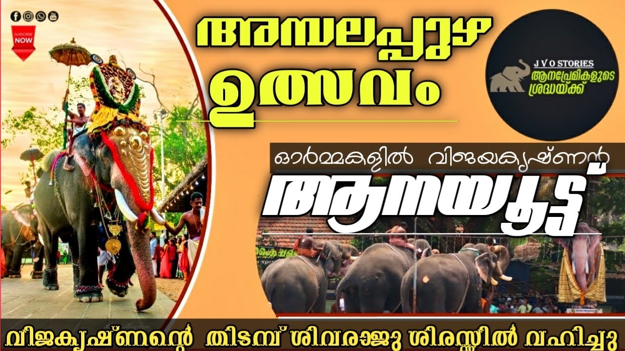 AMBALAPUZHA ULSAVAM | ഗജവീരന്മാർ തൊഴുതു വണങ്ങി വിജയകൃഷ്‌ണനെ | അമ്പലപ്പുഴ ഉത്സവം 2022
