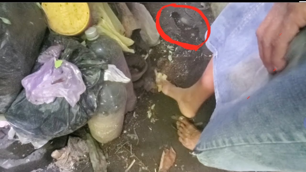 Algo escapó del frasco de doña Leona que nos hizo vomitar 😱