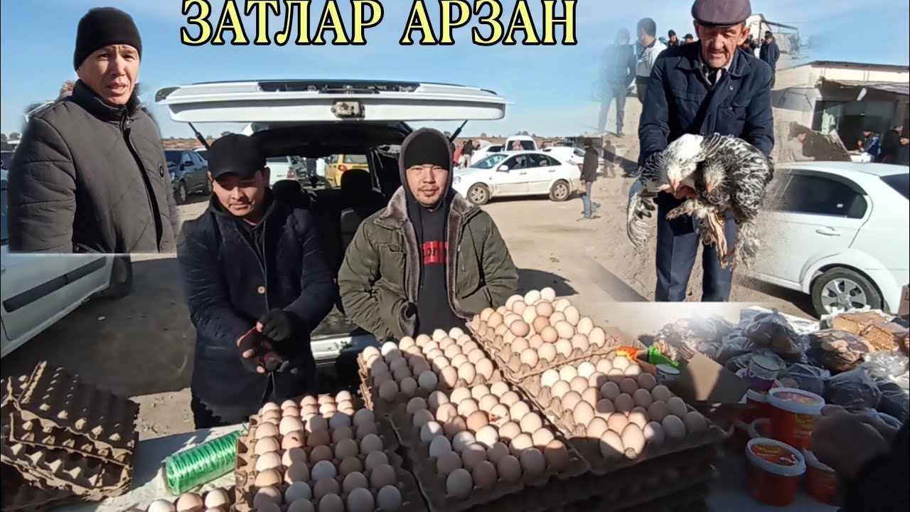 15-НОЯБРЬ/2024/БОЗАТАУ ДИЙХАН БАЗАРЫ/ЗАТЛАРЫ АРЗАН/ГОШ 80-МЫН/ДЕМ БЕРМЕС