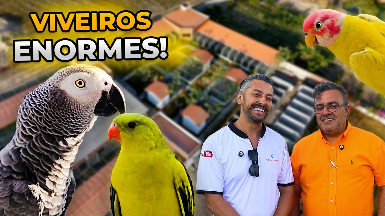 Aves PERFEITAS e Viveiros ENORMES: por isso essa criação é DIFERENCIADA - Chocmaster Visita