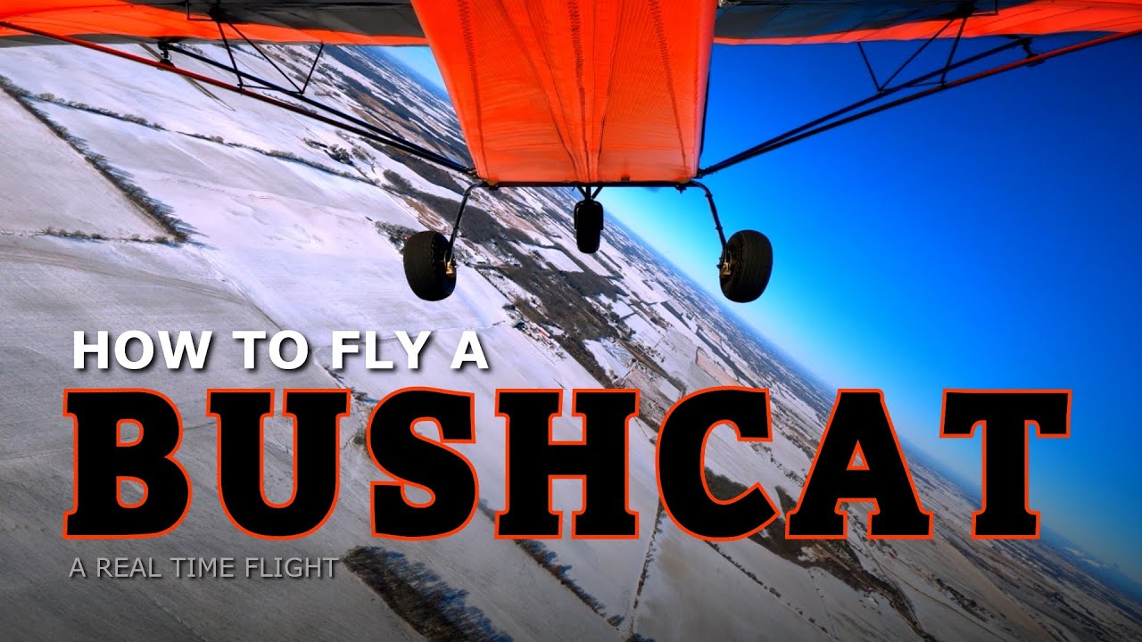 How To Fly a BushCat