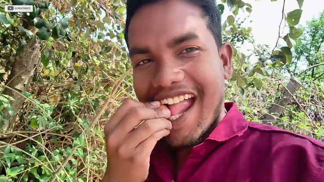 Boir बेर Todne Ke Baad Hame Kya Pata Chala Jise Sun Ke Ulti Aa Jaye aise Laga #trending #vlog #video