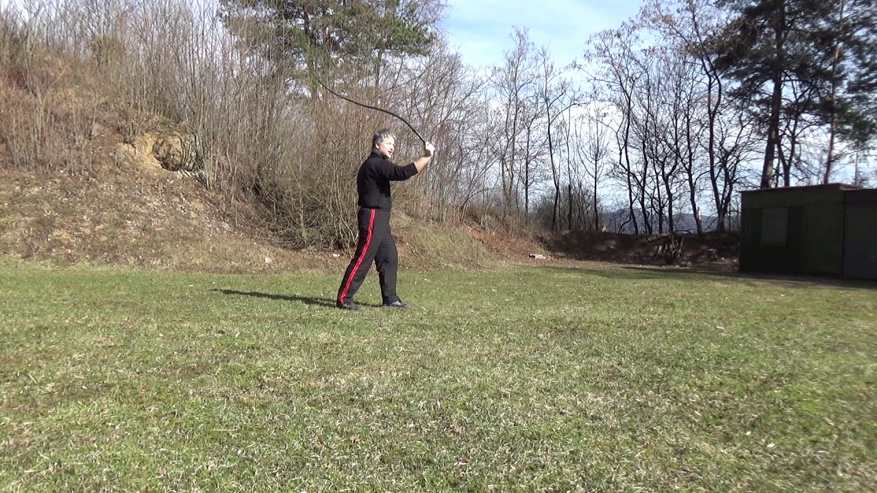 Bič - základné techniky a výuka