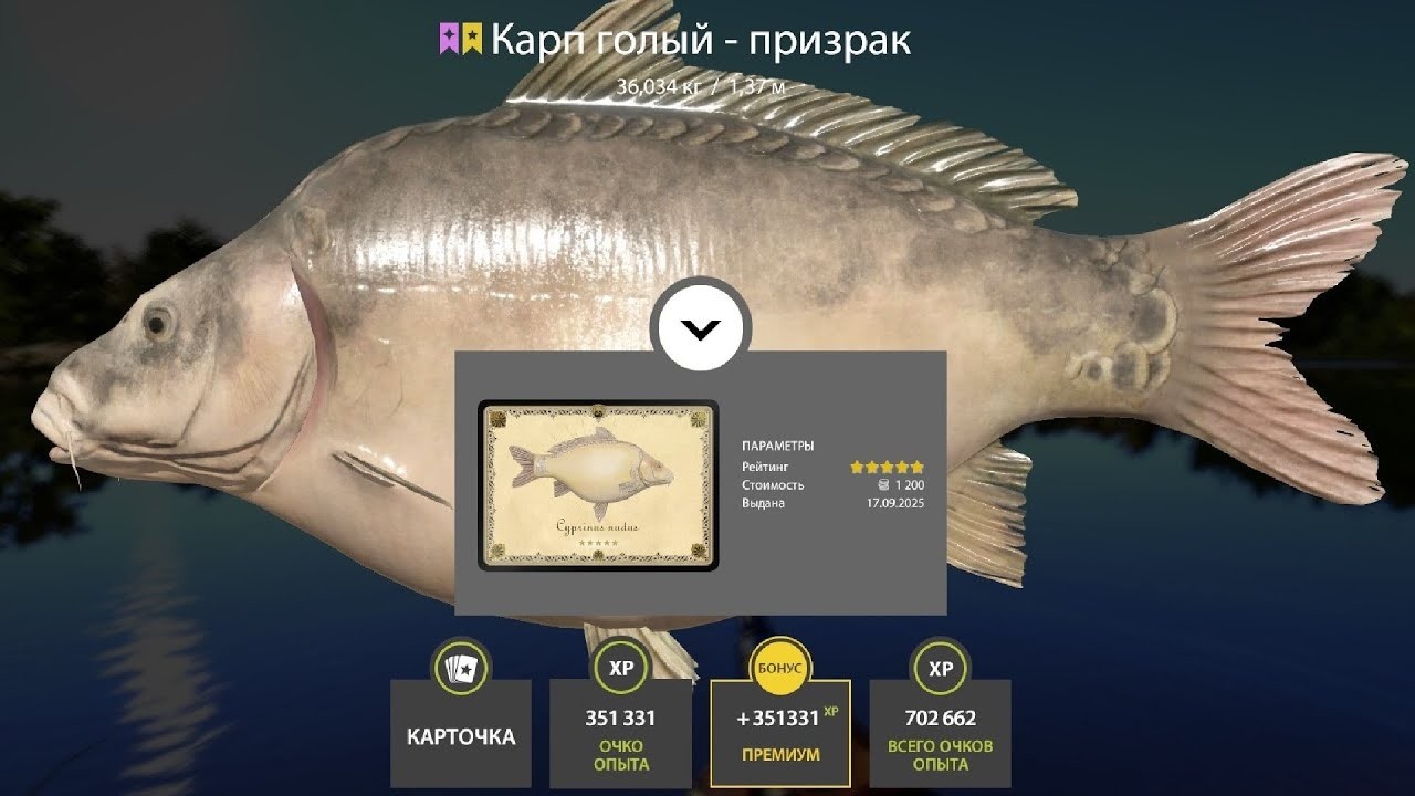 🔴CARPFISHING на оз.Медное и оз. Янтарное! • Русская Рыбалка 4