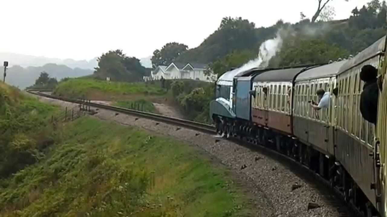 Bittern slips on the Dartmouth Steam Railway